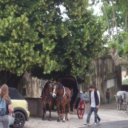 爱派德拉酒店 辛特拉